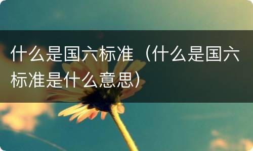 什么是国六标准（什么是国六标准是什么意思）