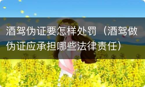 酒驾伪证要怎样处罚（酒驾做伪证应承担哪些法律责任）