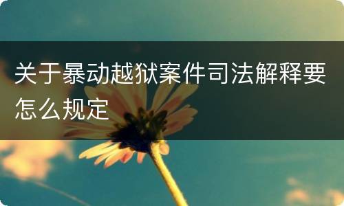 关于暴动越狱案件司法解释要怎么规定