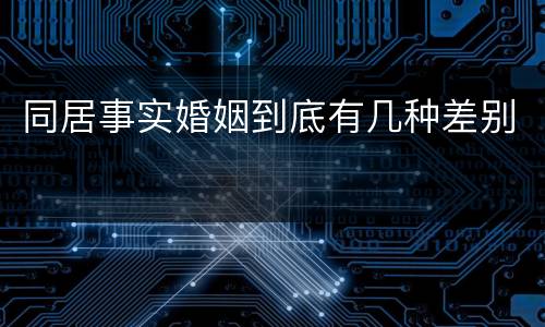 同居事实婚姻到底有几种差别