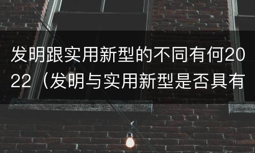 发明跟实用新型的不同有何2022（发明与实用新型是否具有实用性）