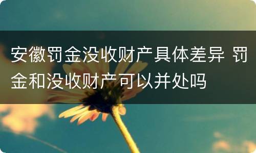 安徽罚金没收财产具体差异 罚金和没收财产可以并处吗