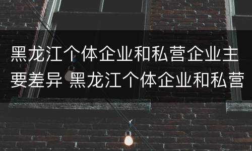 黑龙江个体企业和私营企业主要差异 黑龙江个体企业和私营企业主要差异在哪