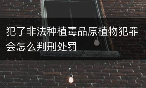 犯了非法种植毒品原植物犯罪会怎么判刑处罚