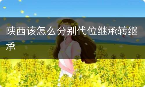 陕西该怎么分别代位继承转继承