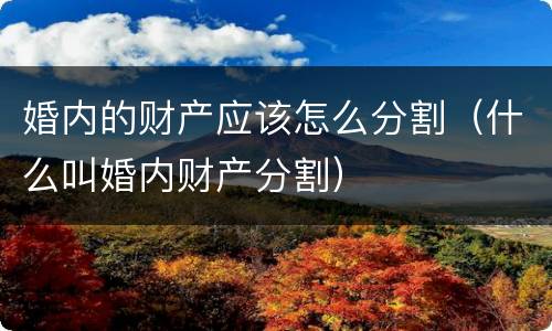 婚内的财产应该怎么分割（什么叫婚内财产分割）
