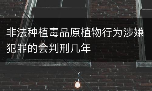 非法种植毒品原植物行为涉嫌犯罪的会判刑几年