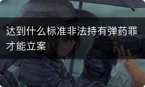 达到什么标准非法持有弹药罪才能立案