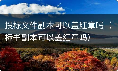 投标文件副本可以盖红章吗（标书副本可以盖红章吗）