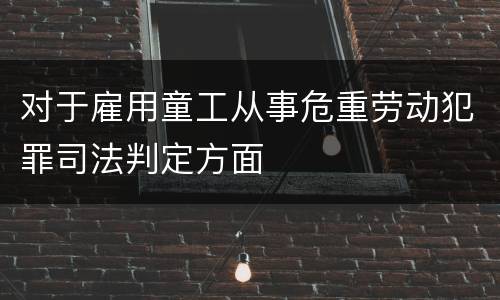 对于雇用童工从事危重劳动犯罪司法判定方面