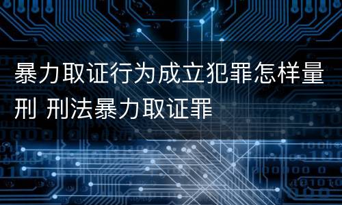 暴力取证行为成立犯罪怎样量刑 刑法暴力取证罪