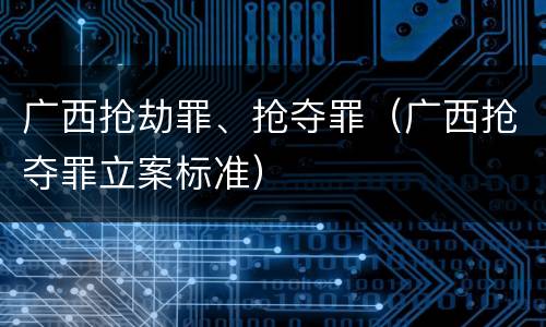 广西抢劫罪、抢夺罪（广西抢夺罪立案标准）