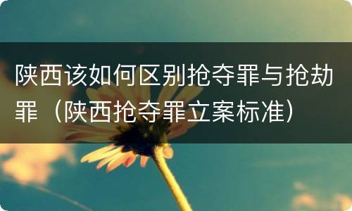 陕西该如何区别抢夺罪与抢劫罪（陕西抢夺罪立案标准）