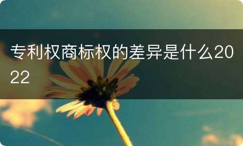 专利权商标权的差异是什么2022