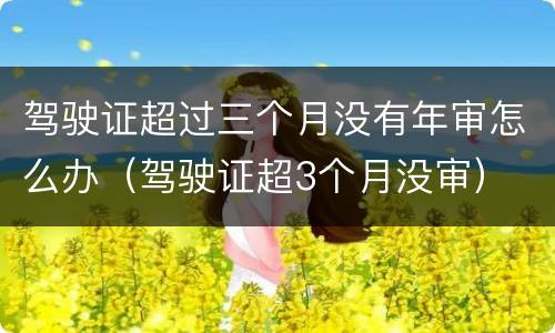 驾驶证超过三个月没有年审怎么办（驾驶证超3个月没审）