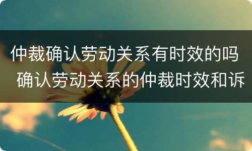 仲裁确认劳动关系有时效的吗 确认劳动关系的仲裁时效和诉讼时效