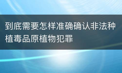 到底需要怎样准确确认非法种植毒品原植物犯罪