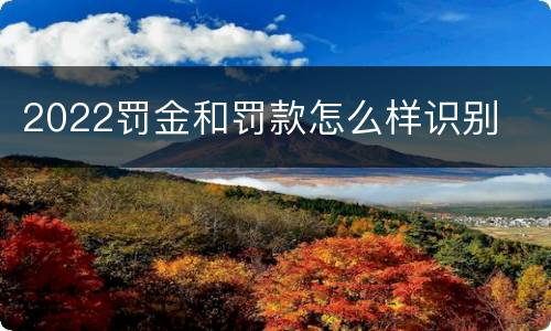 2022罚金和罚款怎么样识别