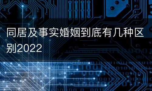 同居及事实婚姻到底有几种区别2022
