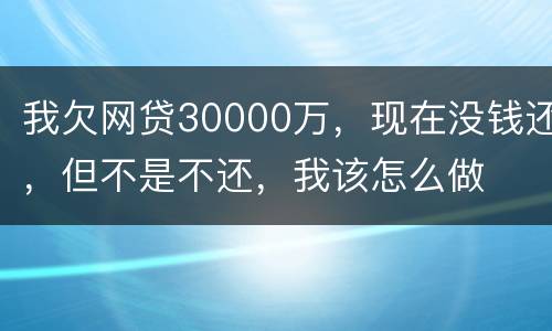 我欠网贷30000万，现在没钱还，但不是不还，我该怎么做