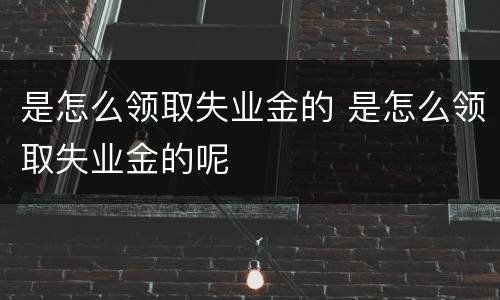 是怎么领取失业金的 是怎么领取失业金的呢