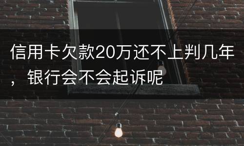 信用卡欠款20万还不上判几年，银行会不会起诉呢