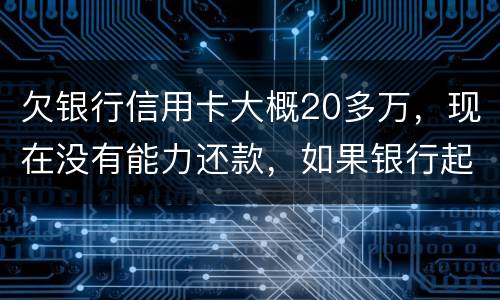 欠银行信用卡大概20多万，现在没有能力还款，如果银行起诉，法院会怎么判决，如果强