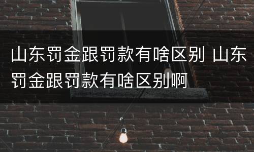 山东罚金跟罚款有啥区别 山东罚金跟罚款有啥区别啊