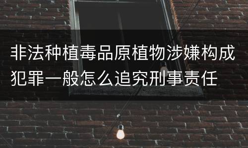 非法种植毒品原植物涉嫌构成犯罪一般怎么追究刑事责任