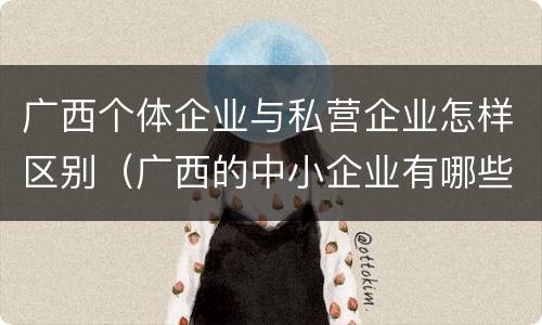 广西个体企业与私营企业怎样区别（广西的中小企业有哪些）