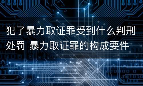 犯了暴力取证罪受到什么判刑处罚 暴力取证罪的构成要件