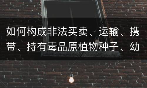 如何构成非法买卖、运输、携带、持有毒品原植物种子、幼苗罪