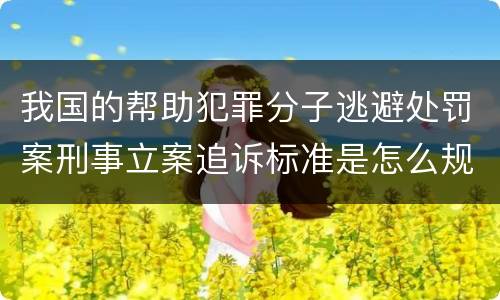 我国的帮助犯罪分子逃避处罚案刑事立案追诉标准是怎么规定