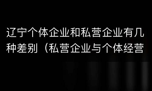 辽宁个体企业和私营企业有几种差别（私营企业与个体经营企业的区别）