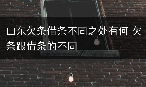 山东欠条借条不同之处有何 欠条跟借条的不同