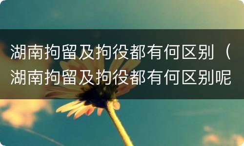 湖南拘留及拘役都有何区别（湖南拘留及拘役都有何区别呢）
