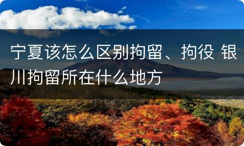 宁夏该怎么区别拘留、拘役 银川拘留所在什么地方