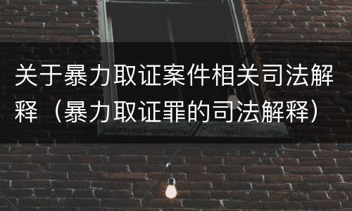 关于暴力取证案件相关司法解释（暴力取证罪的司法解释）