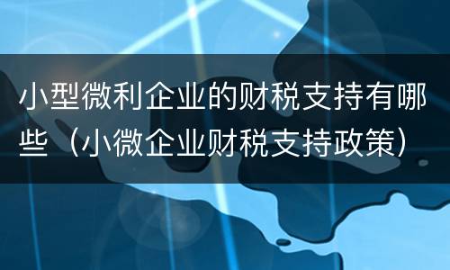 小型微利企业的财税支持有哪些（小微企业财税支持政策）