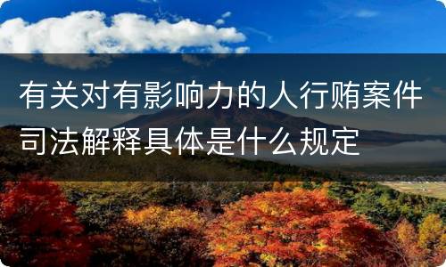 有关对有影响力的人行贿案件司法解释具体是什么规定