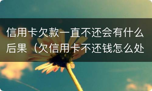 信用卡欠款一直不还会有什么后果（欠信用卡不还钱怎么处理）