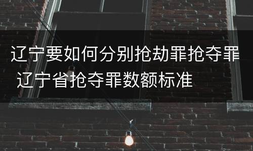 辽宁要如何分别抢劫罪抢夺罪 辽宁省抢夺罪数额标准