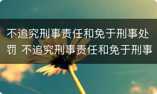 不追究刑事责任和免于刑事处罚 不追究刑事责任和免于刑事处罚一样吗