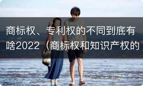 商标权、专利权的不同到底有啥2022（商标权和知识产权的区别）
