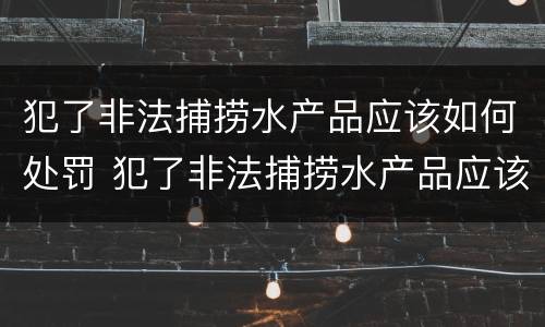 犯了非法捕捞水产品应该如何处罚 犯了非法捕捞水产品应该如何处罚他人