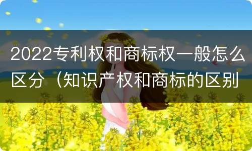 2022专利权和商标权一般怎么区分（知识产权和商标的区别）