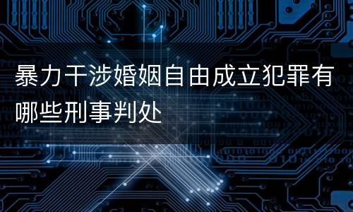 暴力干涉婚姻自由成立犯罪有哪些刑事判处