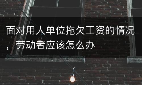 面对用人单位拖欠工资的情况，劳动者应该怎么办