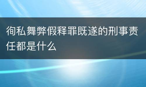 徇私舞弊假释罪既遂的刑事责任都是什么