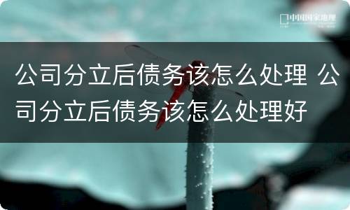 公司分立后债务该怎么处理 公司分立后债务该怎么处理好